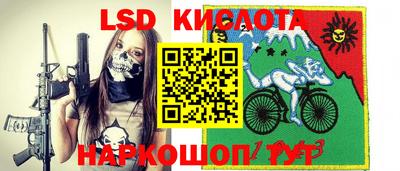 дмт Бийск