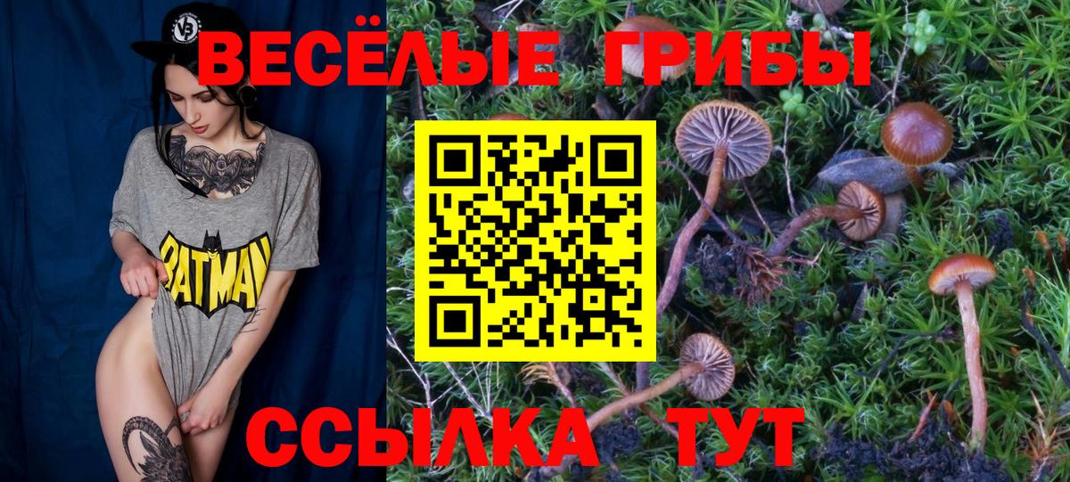 Лсд 25  Вход с VPN  ЭКСТАЗИ  ГАШИШ  Мефедрон   ГАШ  Конопля  Керчь  MDMA  Бошки Шишки 