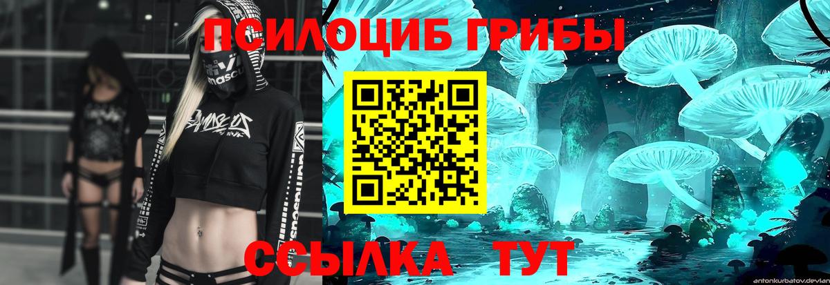 Псилоцибиновые грибы Psilocybine cubensis Керчь